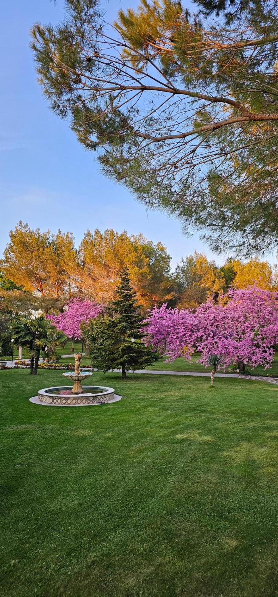 Green Park Дивьяка Экстерьер фото